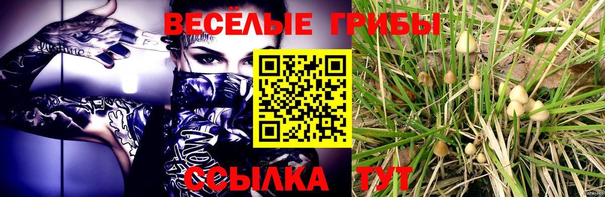 Галлюциногенные грибы мухоморы Ревда